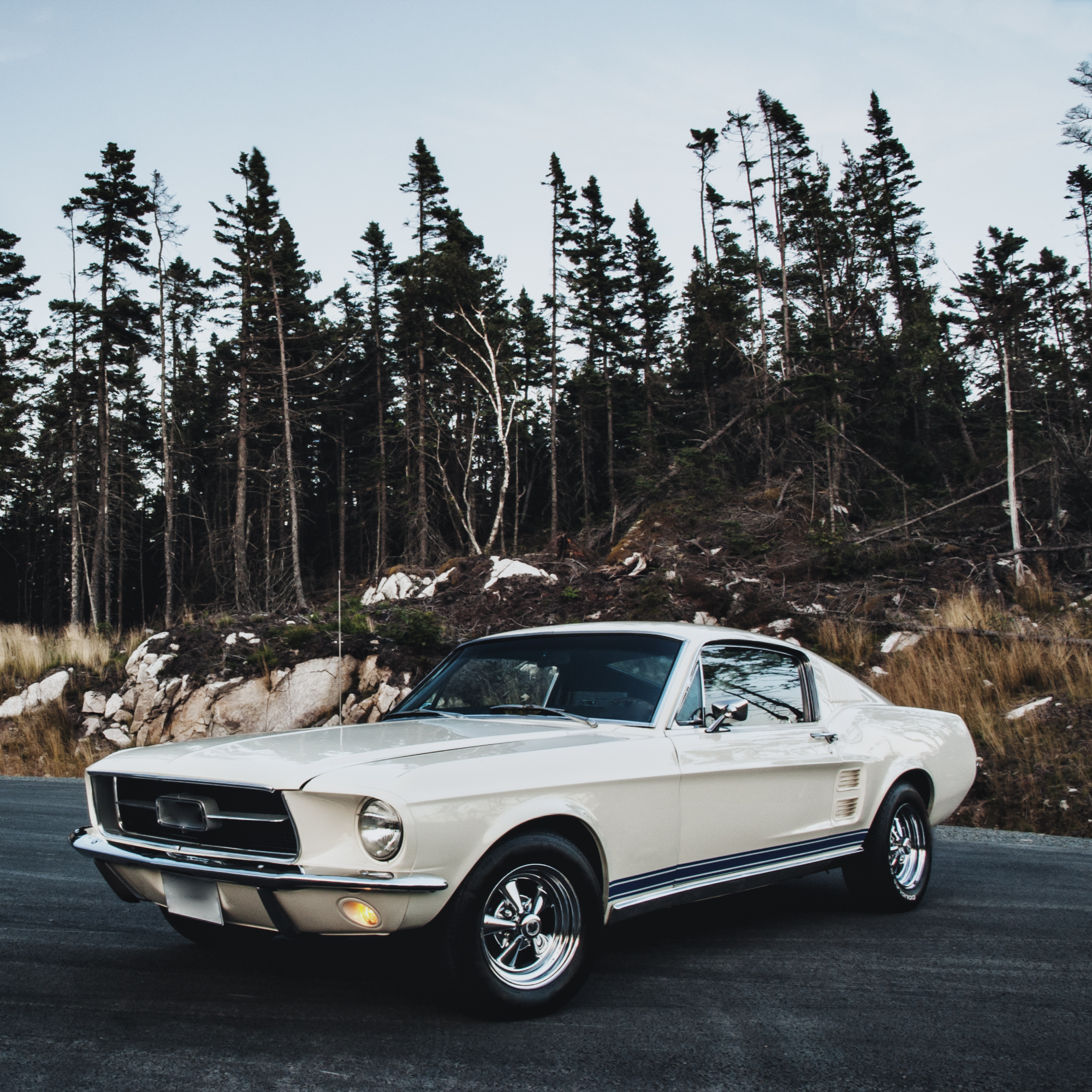 Post War Classics
